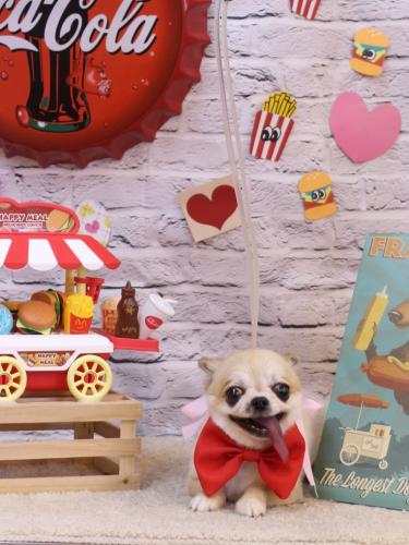 20230916ｍomoちゃん